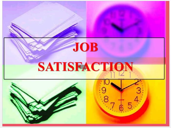 Faculty Development Programme on JOB SATISFACTION